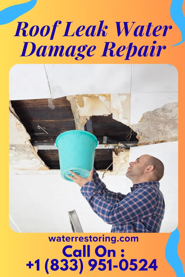 Roof Leak Water Damage Repair in Hoopers Creek, NC