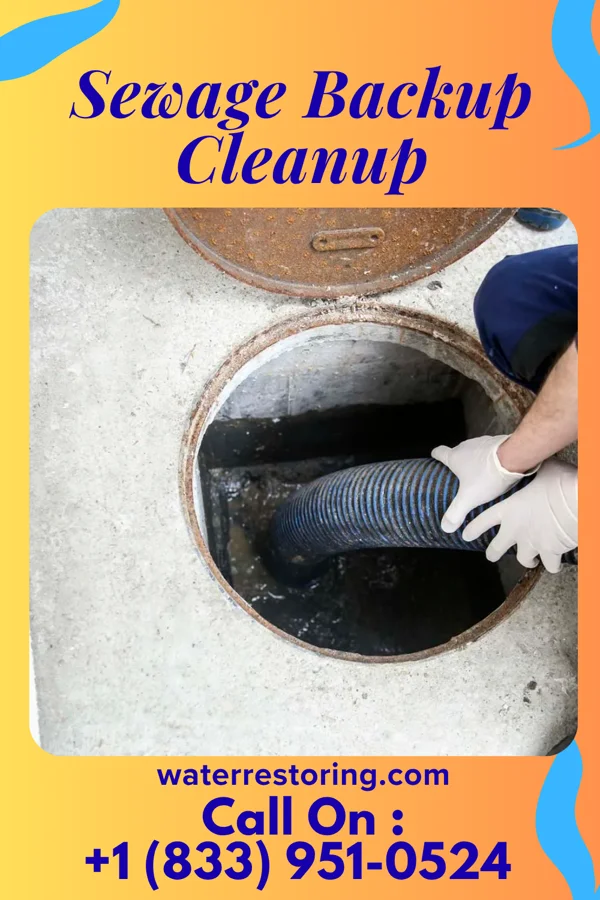 Sewage Backup Cleanup in Hoopers Creek, NC