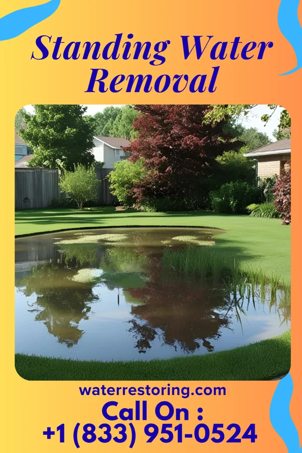 Standing Water Removal in Hoopers Creek, NC